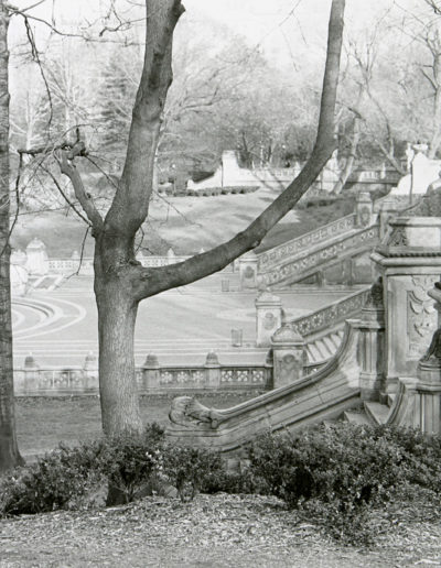 Bethesda-fountain