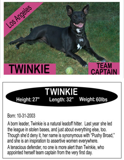 Twinkie-BB-Card-sm